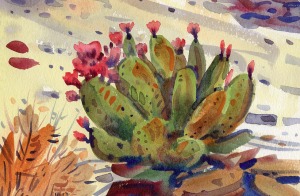 Opuntia