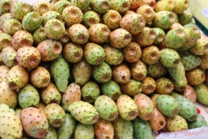 tunas
