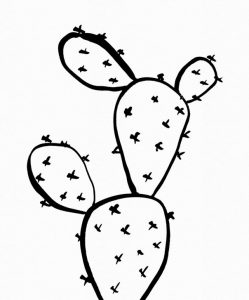 Opuntia